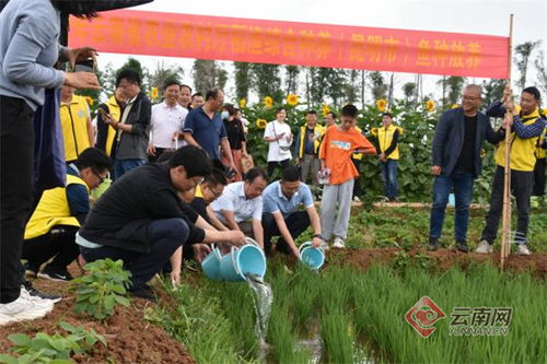云南省農(nóng)業(yè)農(nóng)村廳2022年稻漁綜合種養(yǎng)試驗(yàn)示范項(xiàng)目魚苗投放活動(dòng)在昆明舉行