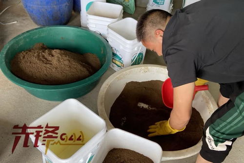 重拳出擊水產(chǎn)投入品 請(qǐng)避開這些藥品 飼料添加劑的法律 雷區(qū) 福建行動(dòng)了