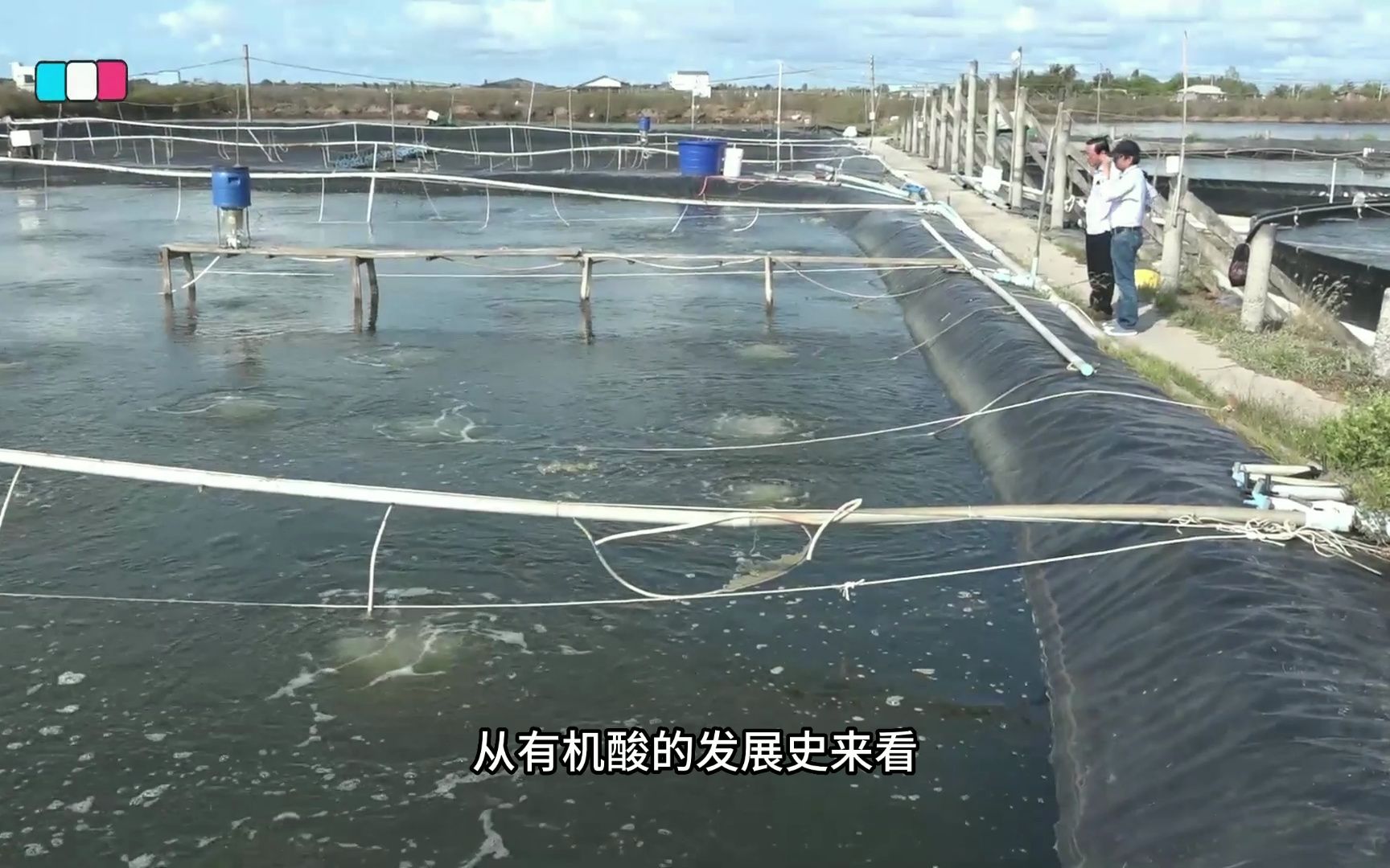 水產(chǎn)養(yǎng)殖中,有機(jī)酸的作用到底是解毒,還是調(diào)水?今天終于說(shuō).