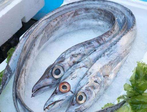 全方位的泰國(guó)凍帶魚(yú)進(jìn)口清關(guān)流程,食務(wù)供應(yīng)鏈3天完成清關(guān)工作