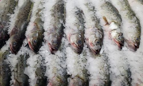 這6種食物不宜放冰箱,不但不保鮮,還會(huì)加速變質(zhì),趕快告訴家人