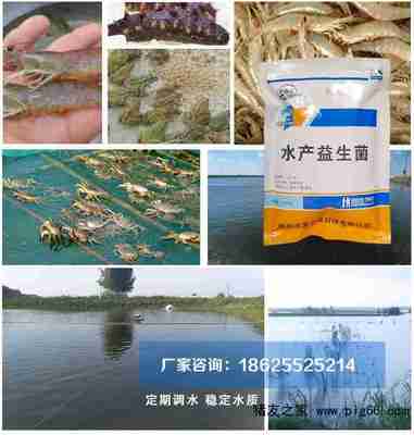 水產(chǎn)養(yǎng)殖水質(zhì)差用什么調(diào)水好